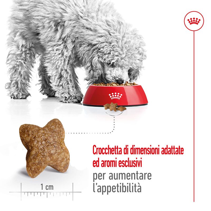 2x8kg Royal Canin Mini Adult - Crocchette per Cani 2x8kg Royal Canin Mini Adult - Crocchette per Cani